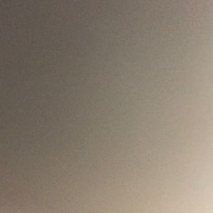 Meet your Posher, Trevon